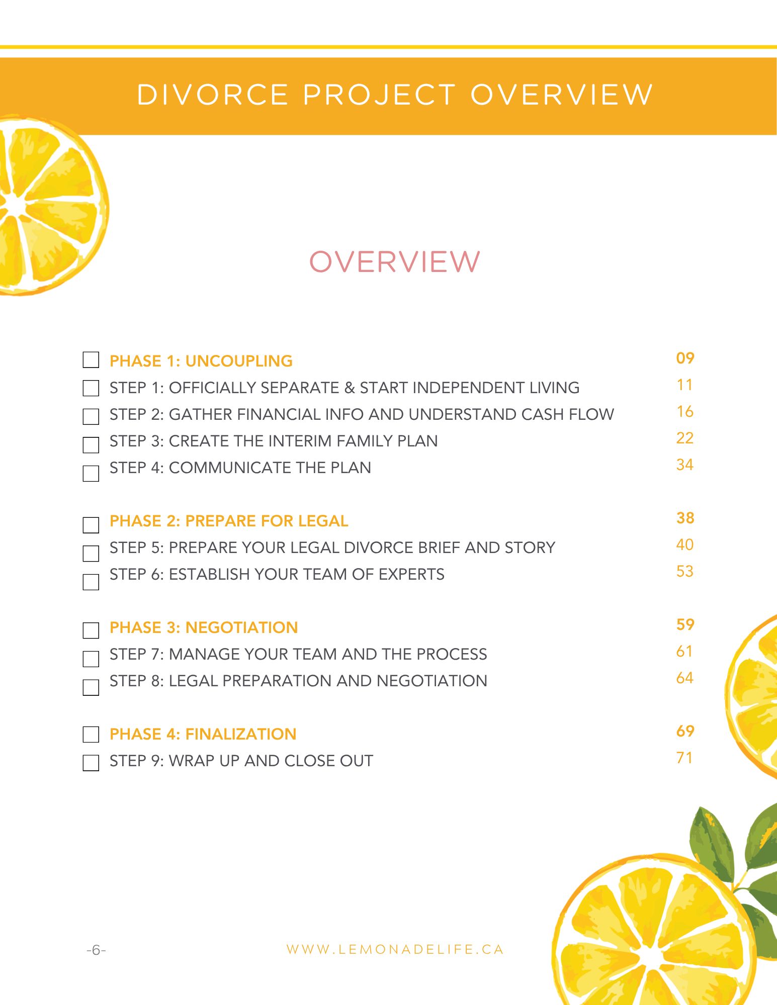 Divorce Project Planner — preview