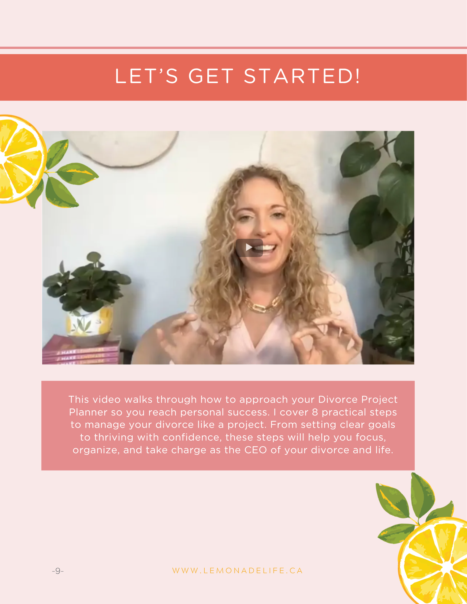 Divorce Project Planner — preview