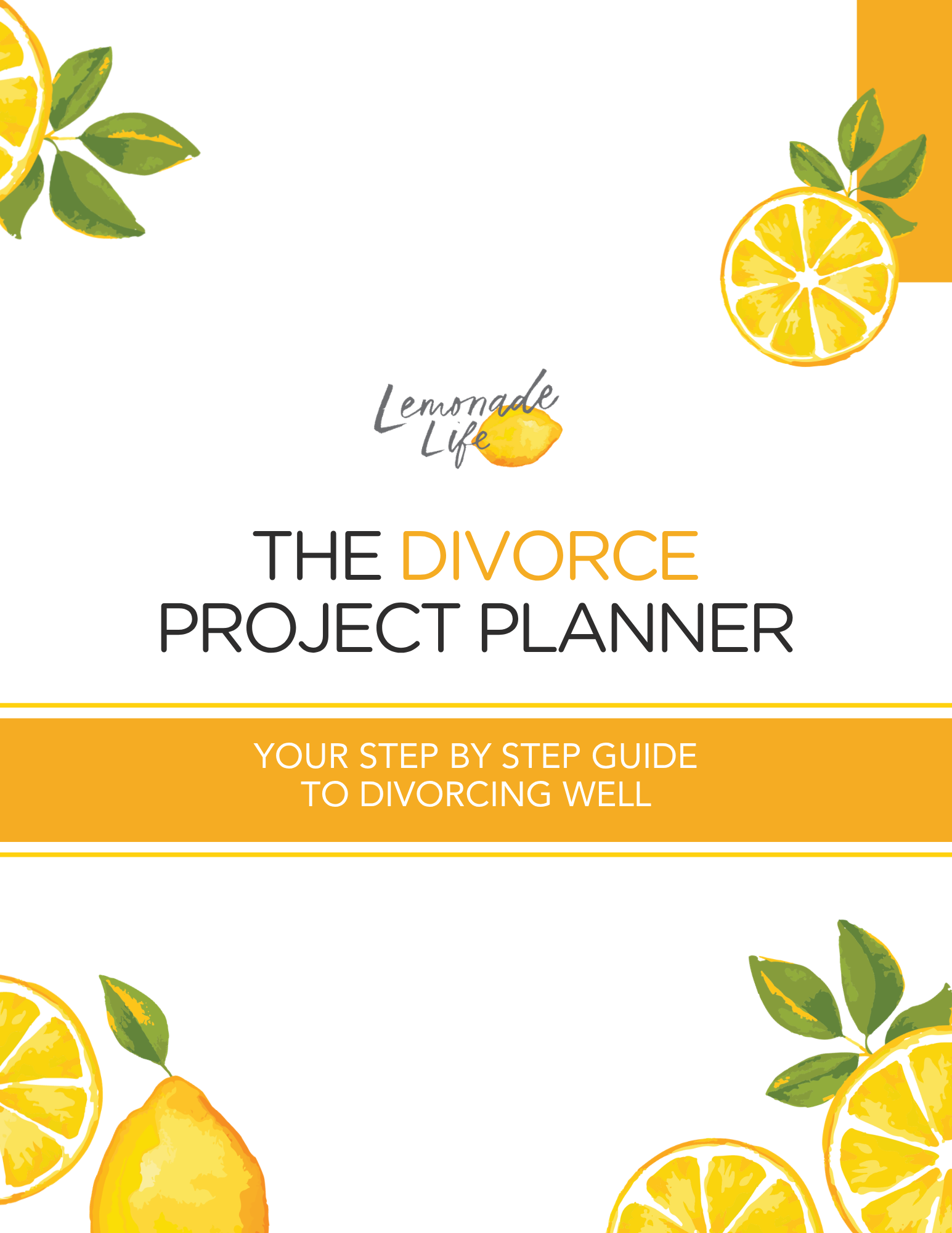 The Divorce Project Planner