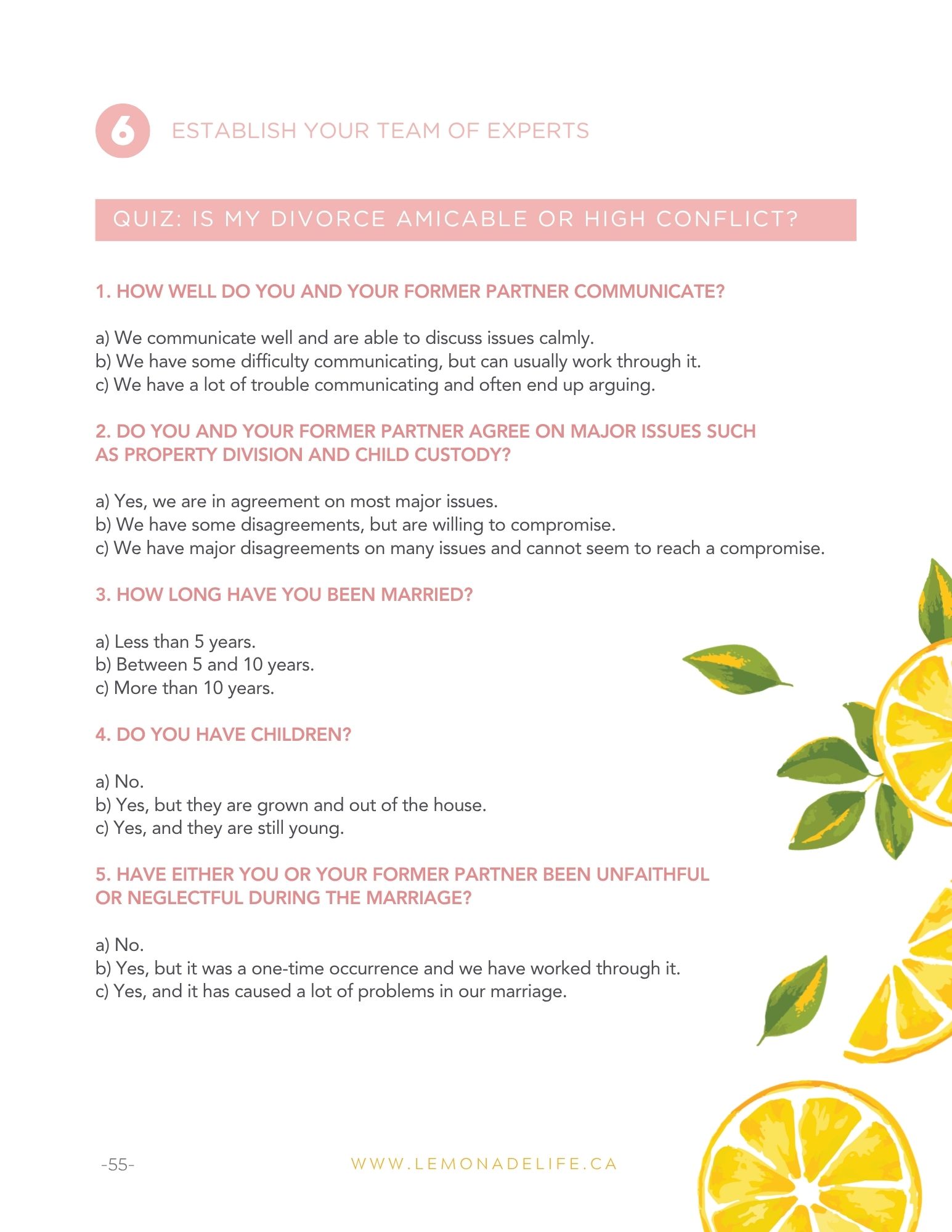 Amicable or High-Conflict quiz preview