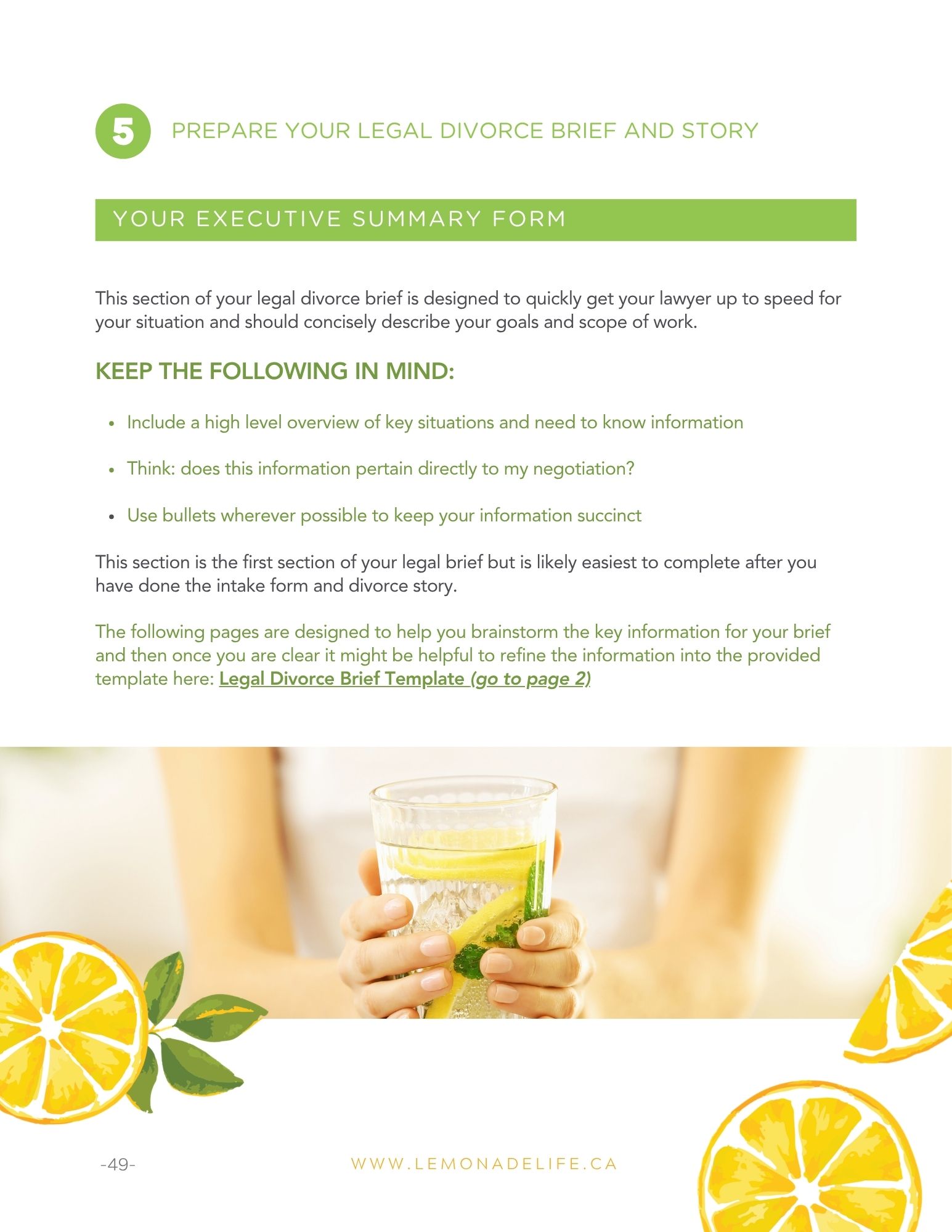 Lawyer Questions Toolkit executive summary preview